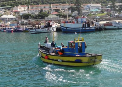 Harbour - Holiday accommodation in Kalk Bay.